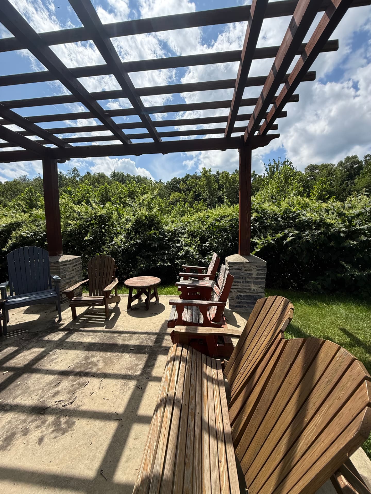 A quiet seating group under the pergola backed by summer greenery