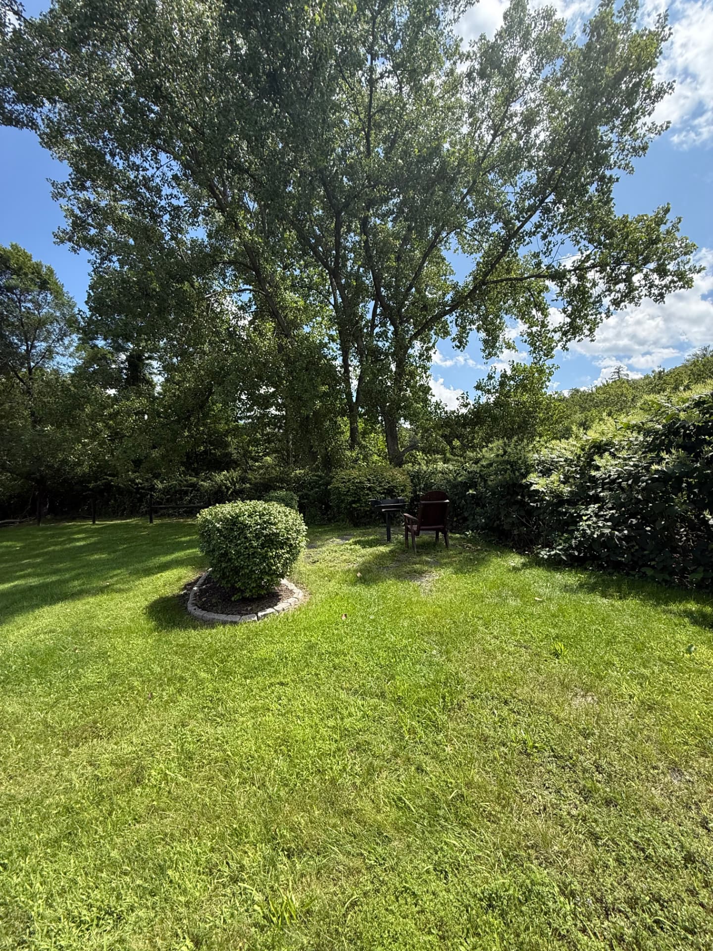 Mature shade trees over mown lawn at the edge of the Tuscany Meadows grounds